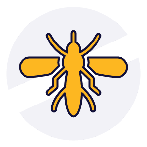 Disinfestazioni Veloci - Zanzara