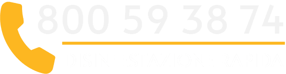 Telefono Disinfestazione Veloce