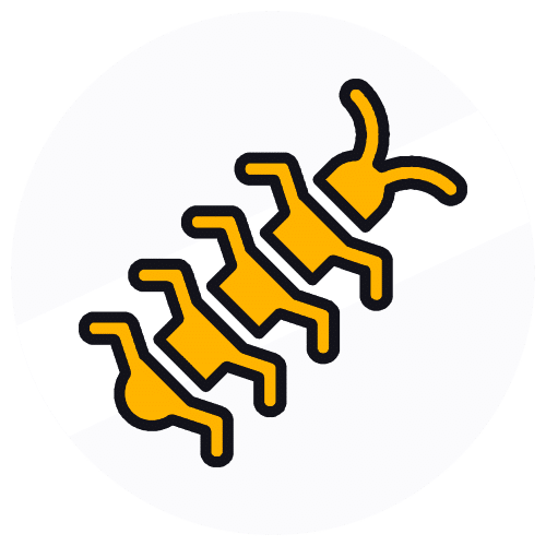 Millepiedi