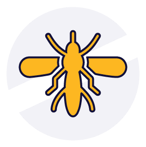 Disinfestazioni Veloci - Zanzara